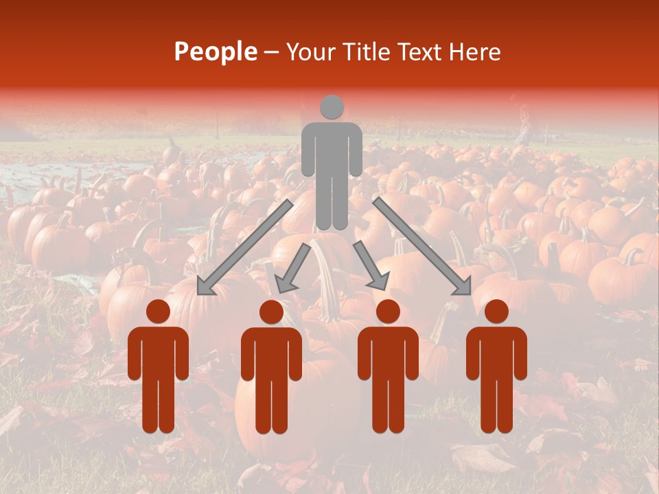 Pumpkins In A Field PowerPoint Template