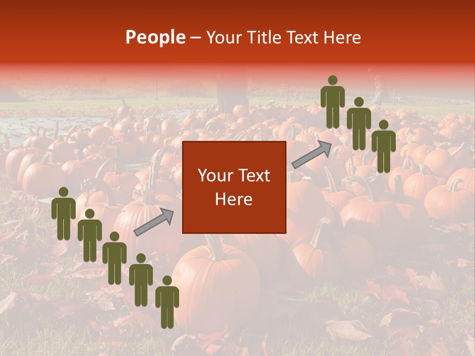 Pumpkins In A Field PowerPoint Template