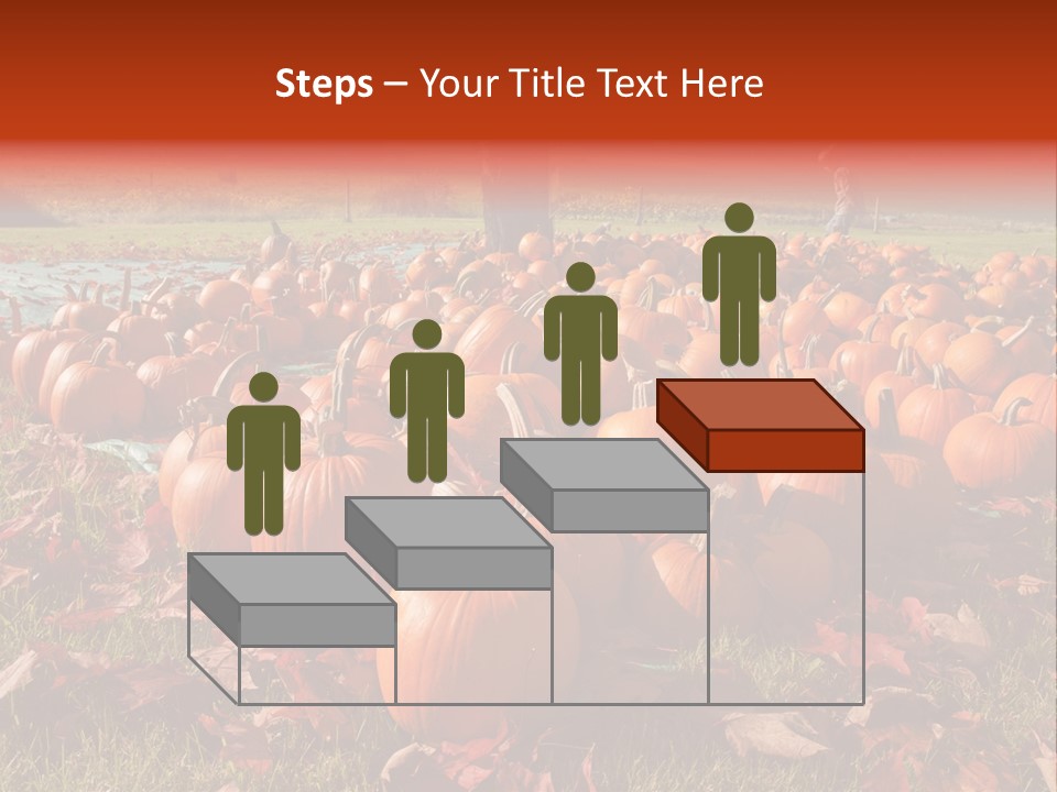 Pumpkins In A Field PowerPoint Template