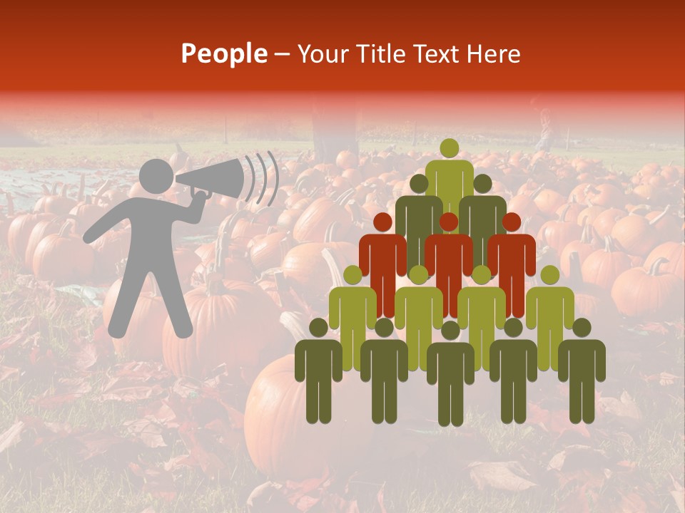Pumpkins In A Field PowerPoint Template