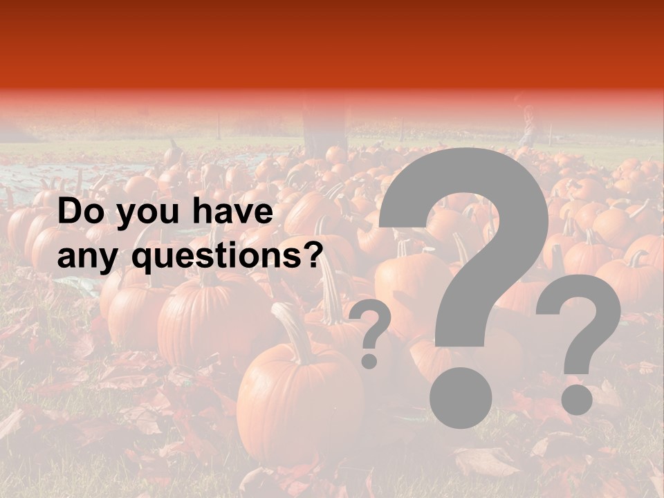 Pumpkins In A Field PowerPoint Template