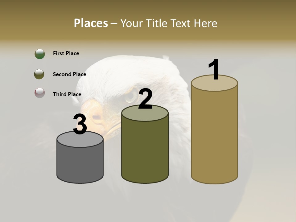 Siyah Beyaz Kartal PowerPoint Template