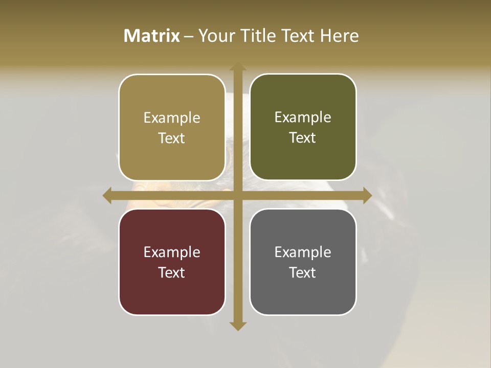 Siyah Beyaz Kartal PowerPoint Template