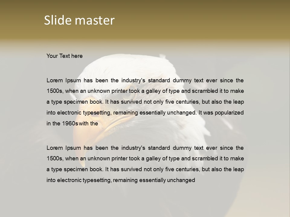 Siyah Beyaz Kartal PowerPoint Template