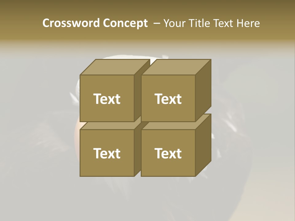 Siyah Beyaz Kartal PowerPoint Template