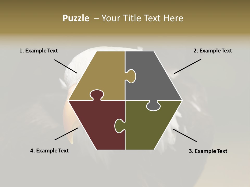 Siyah Beyaz Kartal PowerPoint Template