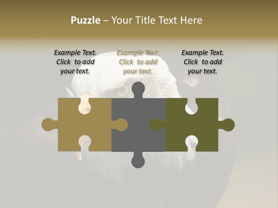 Siyah Beyaz Kartal PowerPoint Template