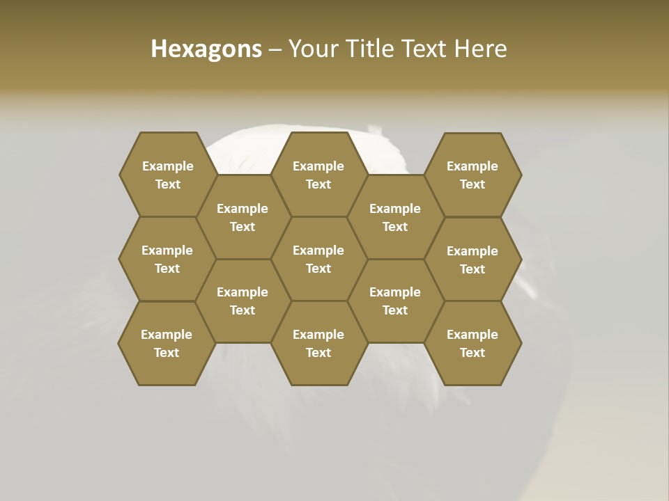 Siyah Beyaz Kartal PowerPoint Template