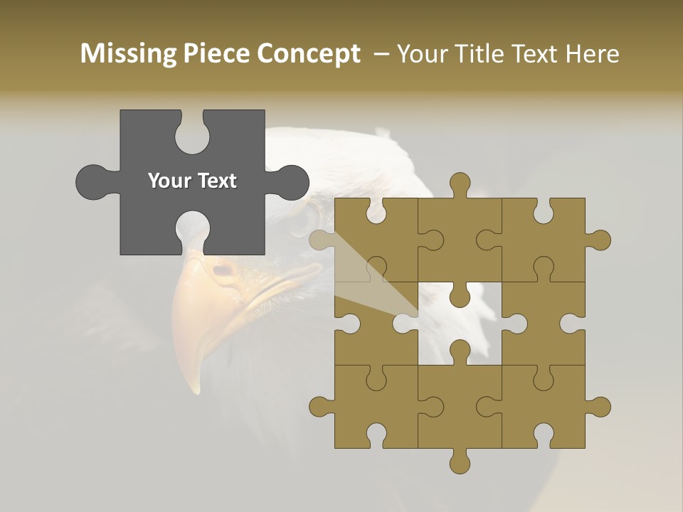 Siyah Beyaz Kartal PowerPoint Template