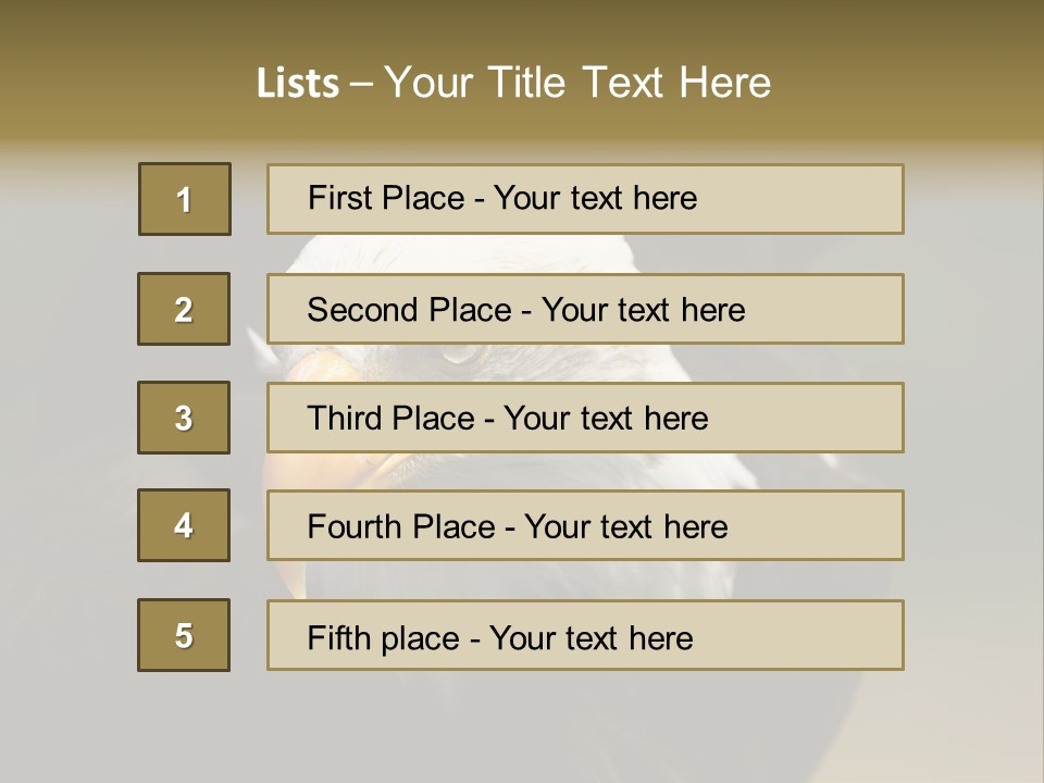 Siyah Beyaz Kartal PowerPoint Template