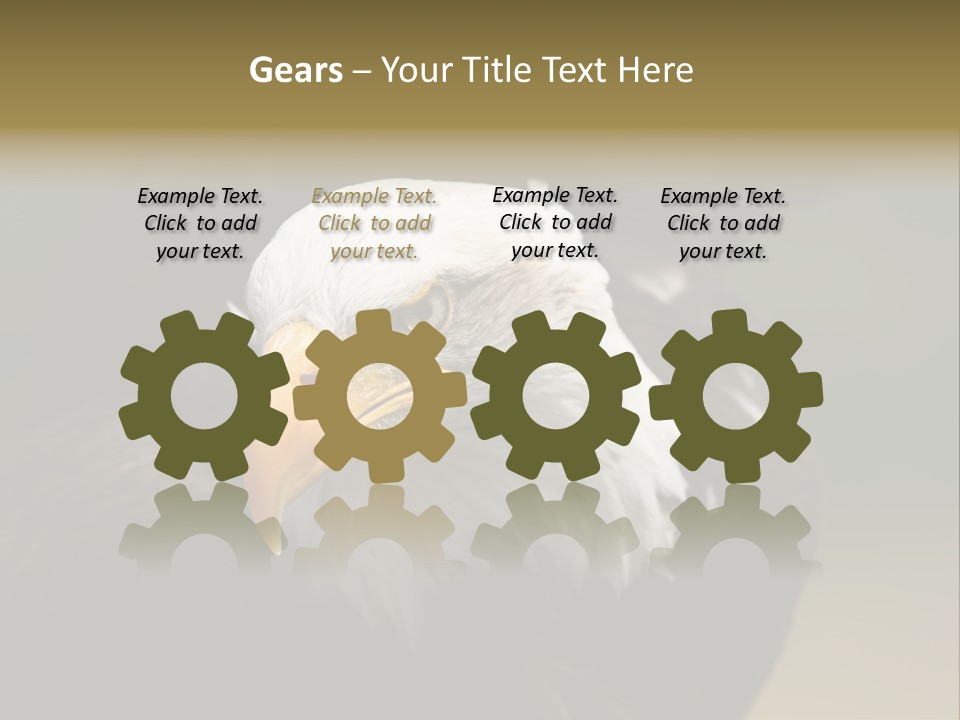 Siyah Beyaz Kartal PowerPoint Template