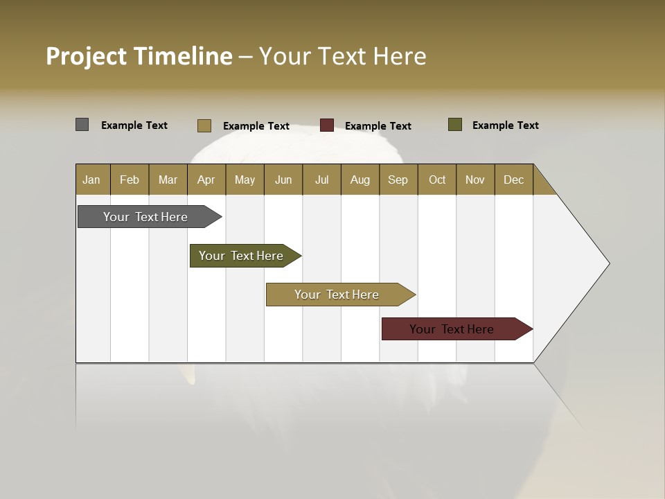 Siyah Beyaz Kartal PowerPoint Template