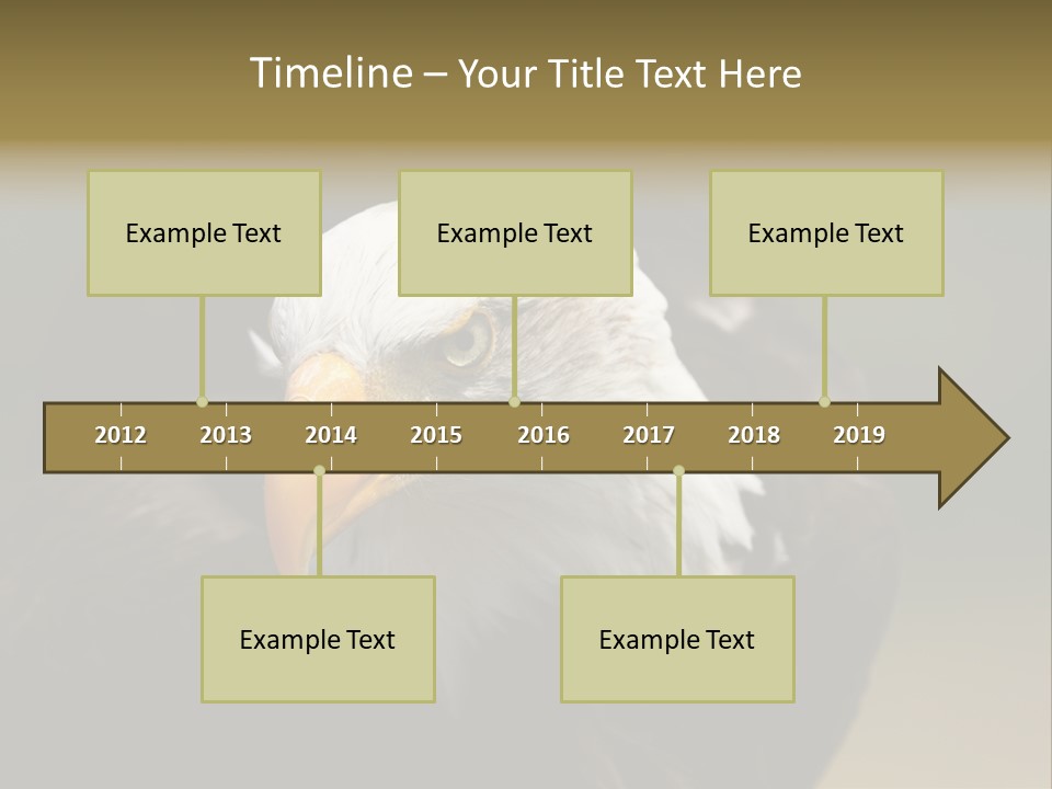 Siyah Beyaz Kartal PowerPoint Template