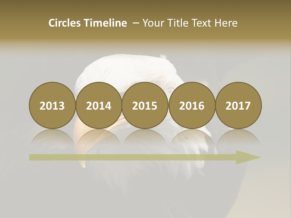 Siyah Beyaz Kartal PowerPoint Template