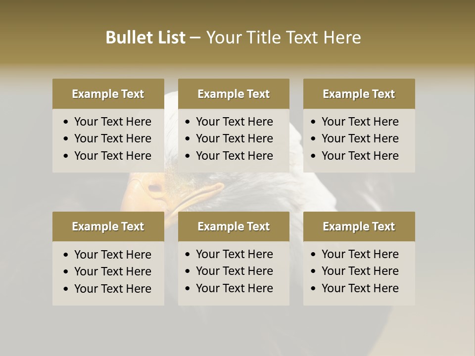 Siyah Beyaz Kartal PowerPoint Template