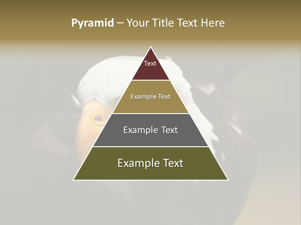 Siyah Beyaz Kartal PowerPoint Template