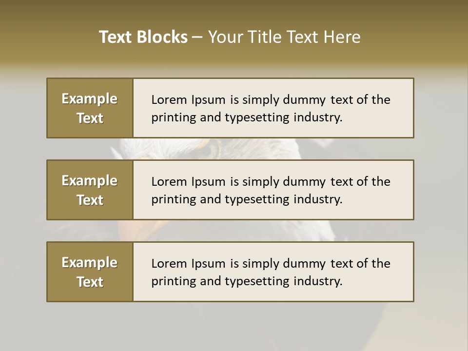 Siyah Beyaz Kartal PowerPoint Template