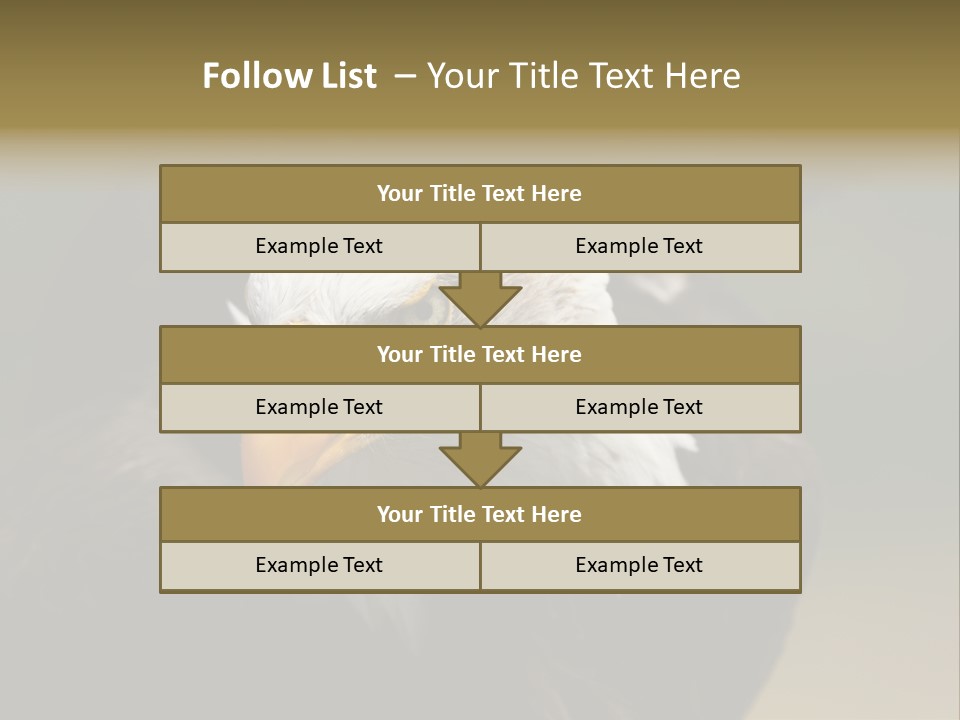 Siyah Beyaz Kartal PowerPoint Template