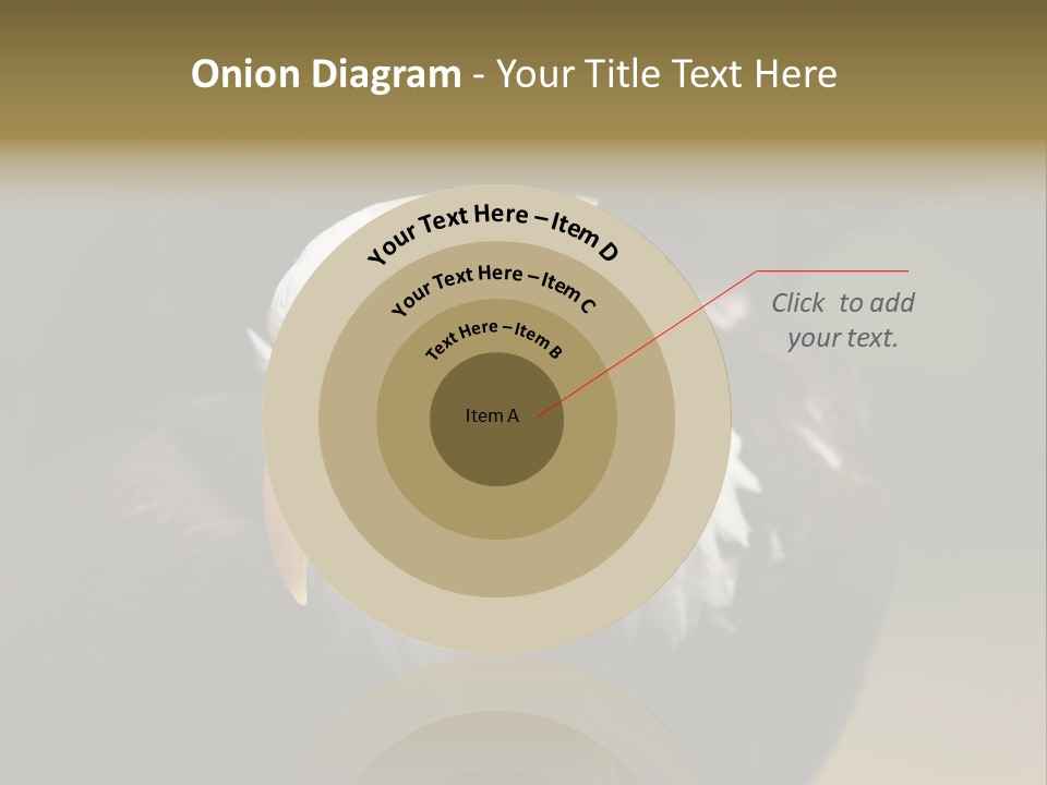 Siyah Beyaz Kartal PowerPoint Template