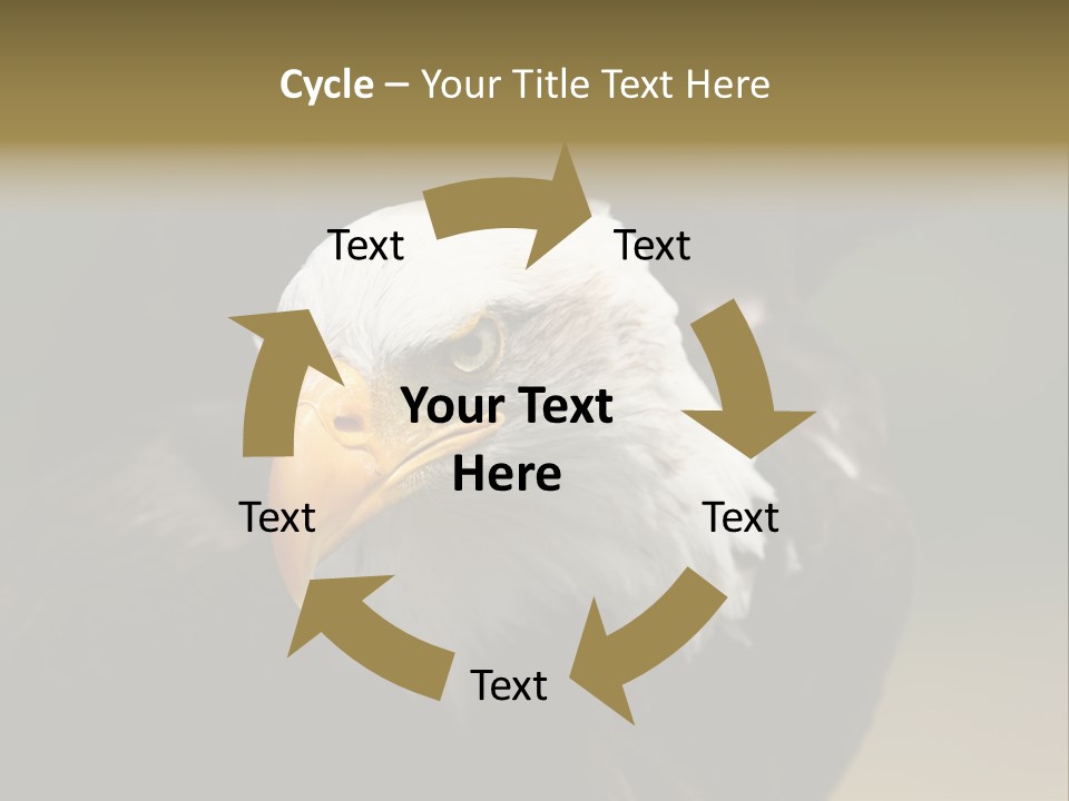 Siyah Beyaz Kartal PowerPoint Template