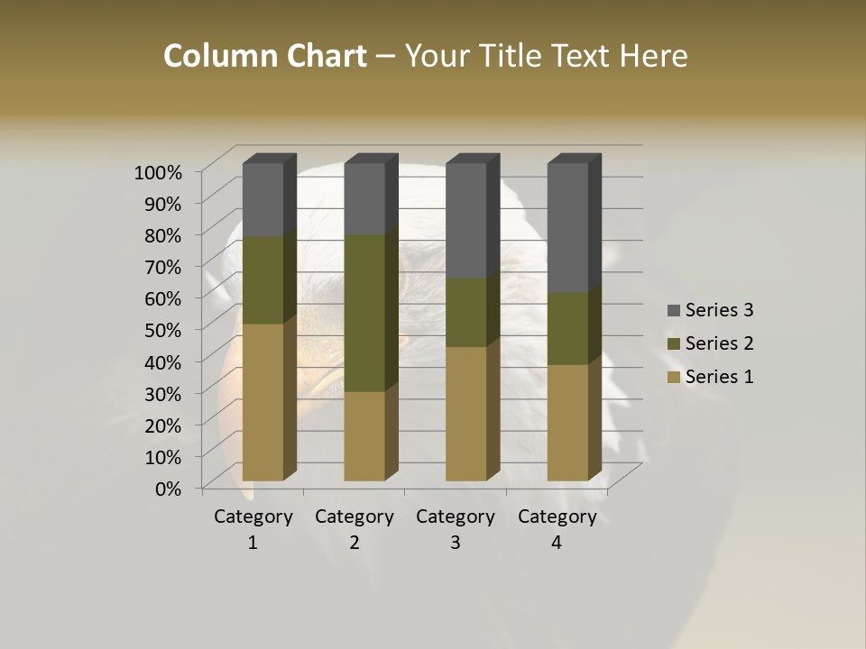 Siyah Beyaz Kartal PowerPoint Template