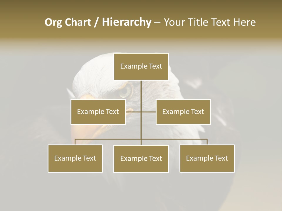 Siyah Beyaz Kartal PowerPoint Template