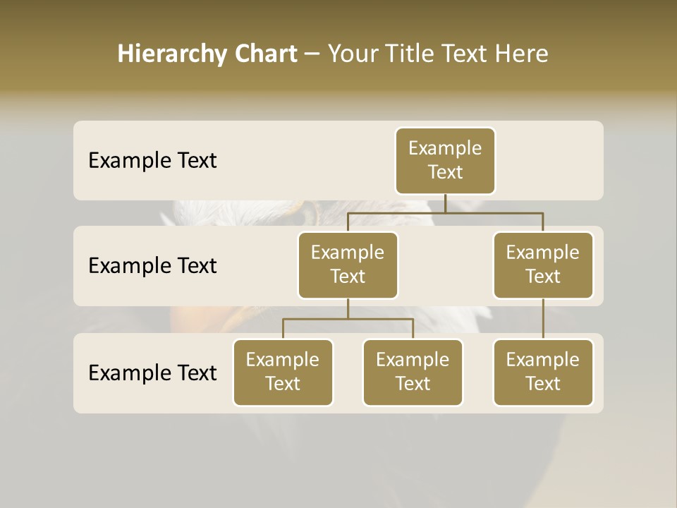 Siyah Beyaz Kartal PowerPoint Template
