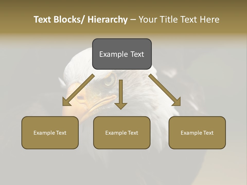Siyah Beyaz Kartal PowerPoint Template