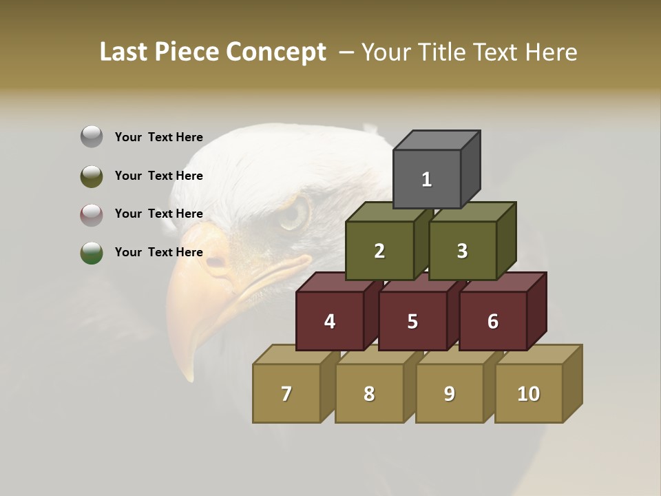 Siyah Beyaz Kartal PowerPoint Template