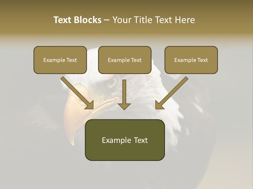 Siyah Beyaz Kartal PowerPoint Template