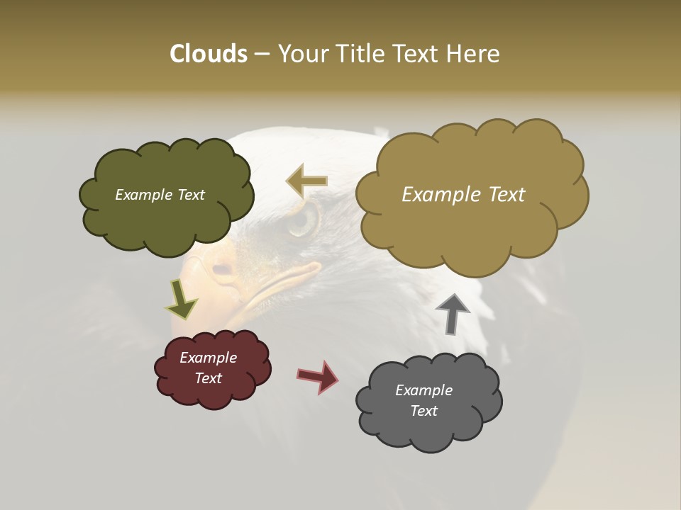 Siyah Beyaz Kartal PowerPoint Template