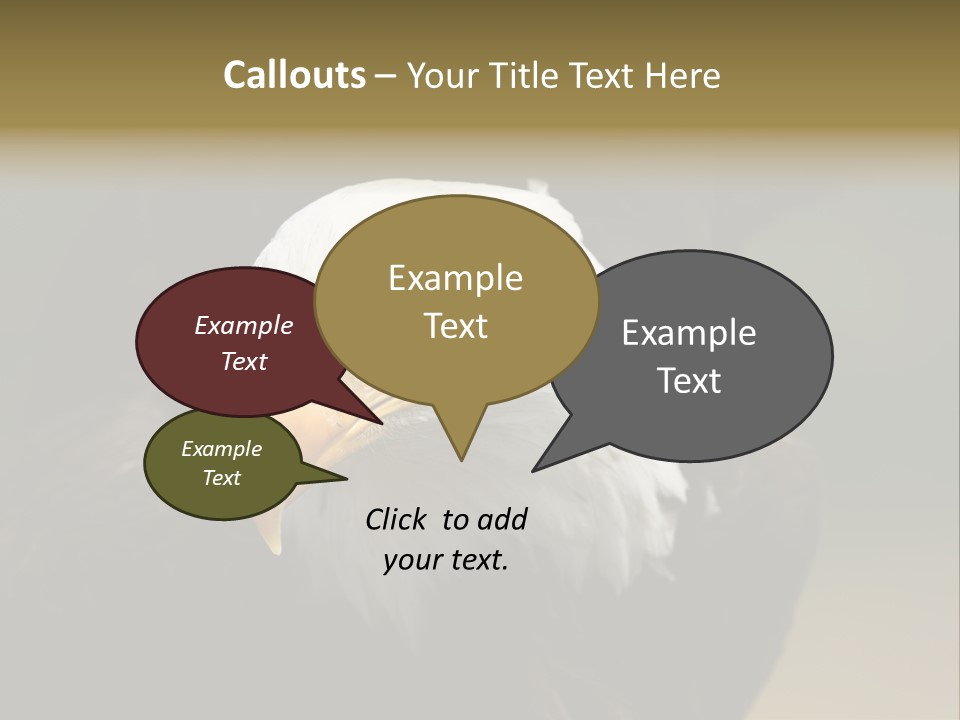 Siyah Beyaz Kartal PowerPoint Template