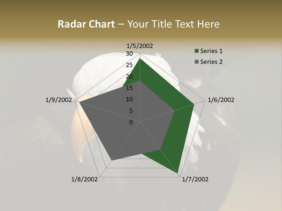 Siyah Beyaz Kartal PowerPoint Template