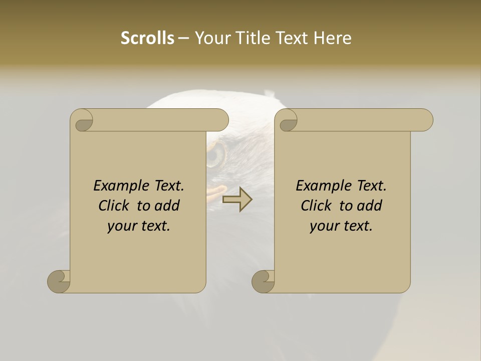 Siyah Beyaz Kartal PowerPoint Template