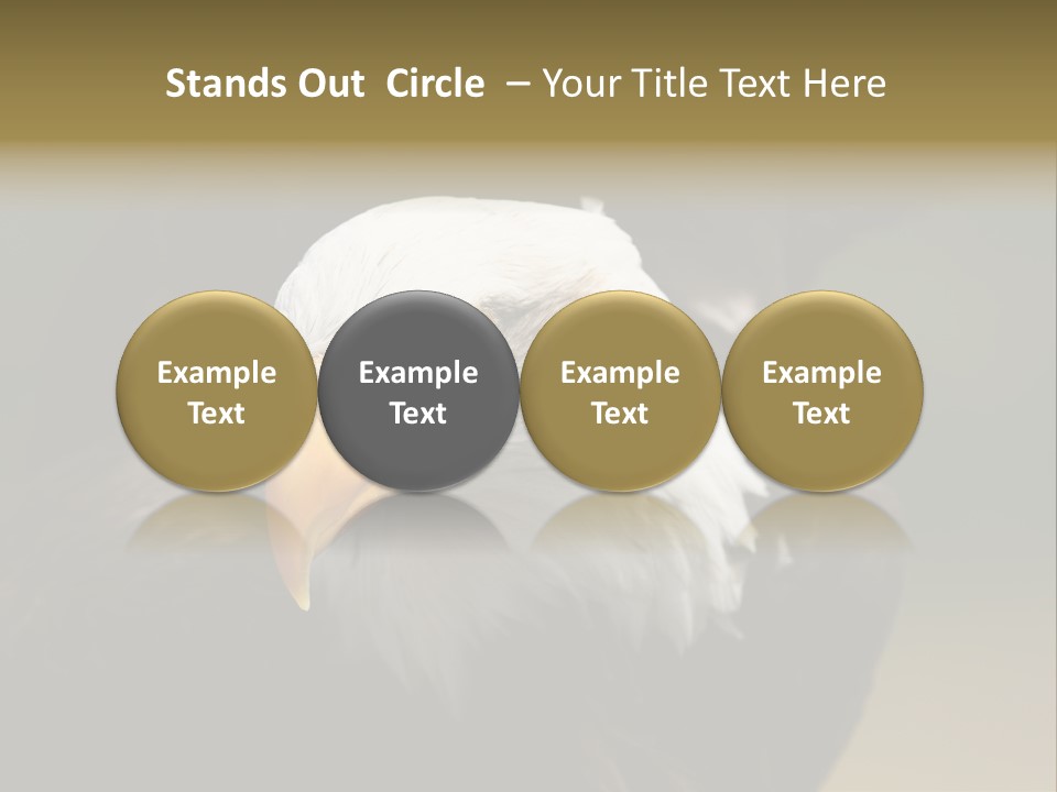 Siyah Beyaz Kartal PowerPoint Template