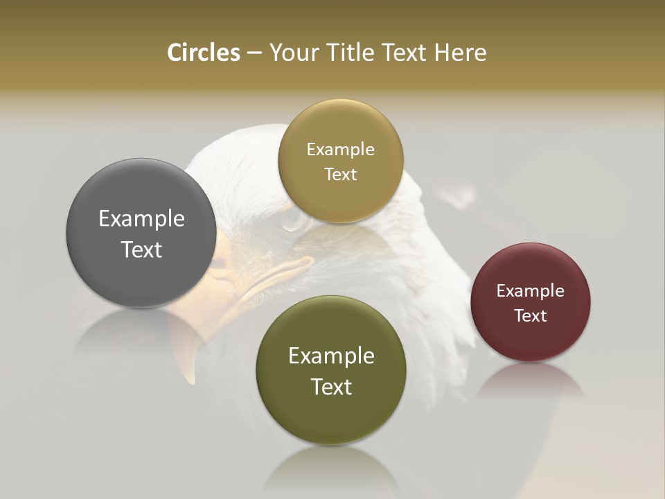 Siyah Beyaz Kartal PowerPoint Template