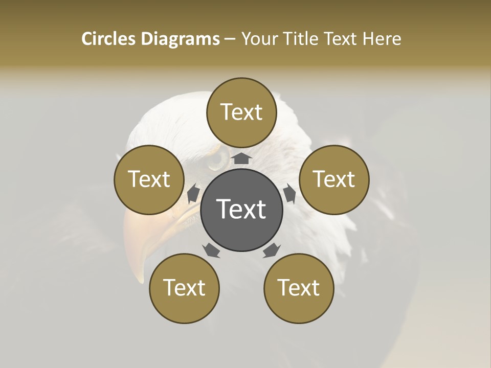 Siyah Beyaz Kartal PowerPoint Template