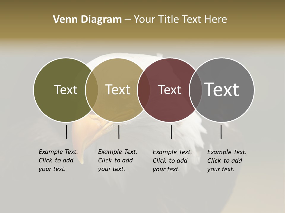 Siyah Beyaz Kartal PowerPoint Template