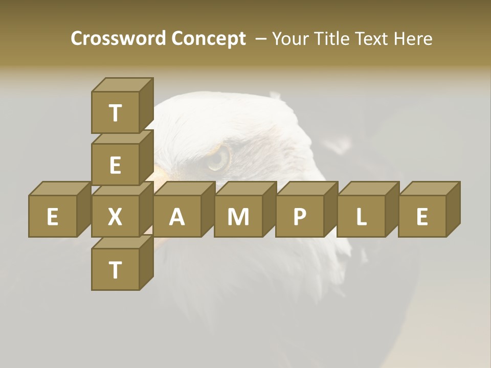 Siyah Beyaz Kartal PowerPoint Template