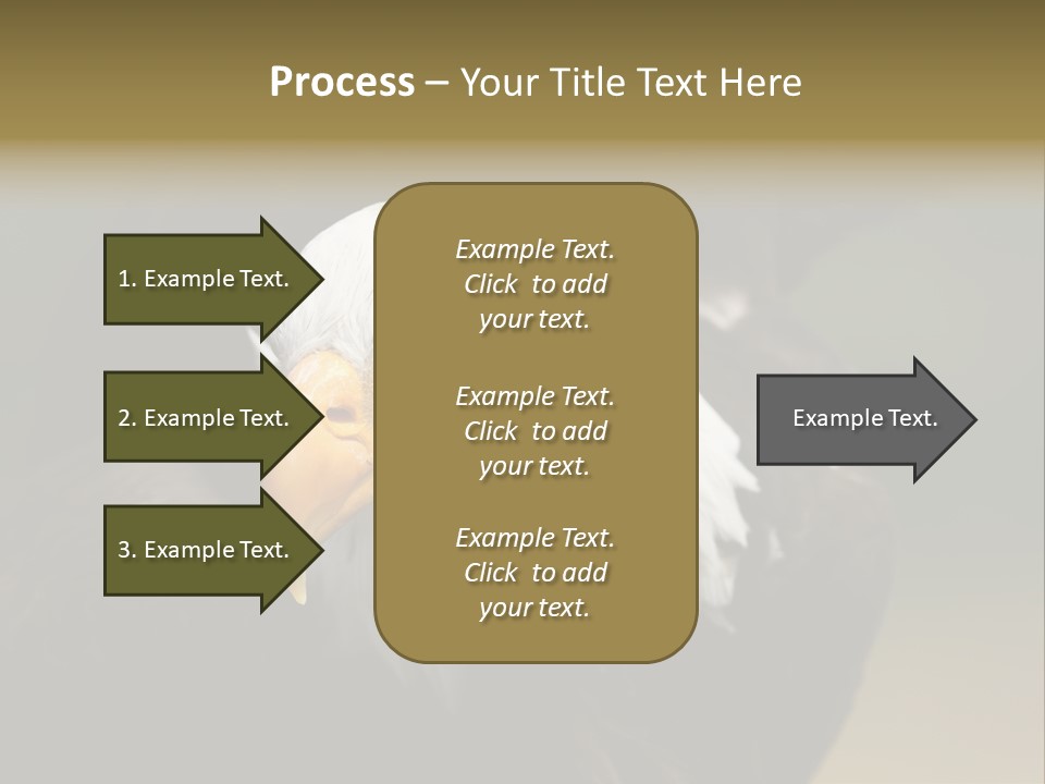 Siyah Beyaz Kartal PowerPoint Template