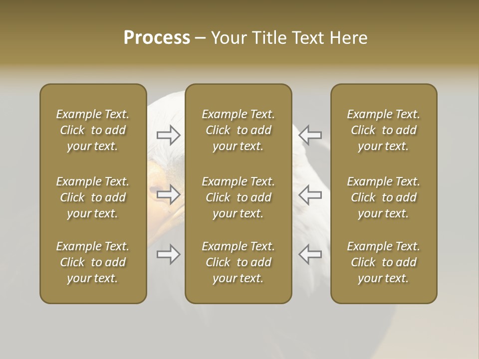 Siyah Beyaz Kartal PowerPoint Template