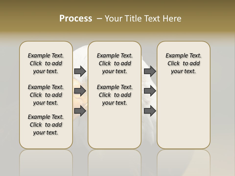 Siyah Beyaz Kartal PowerPoint Template