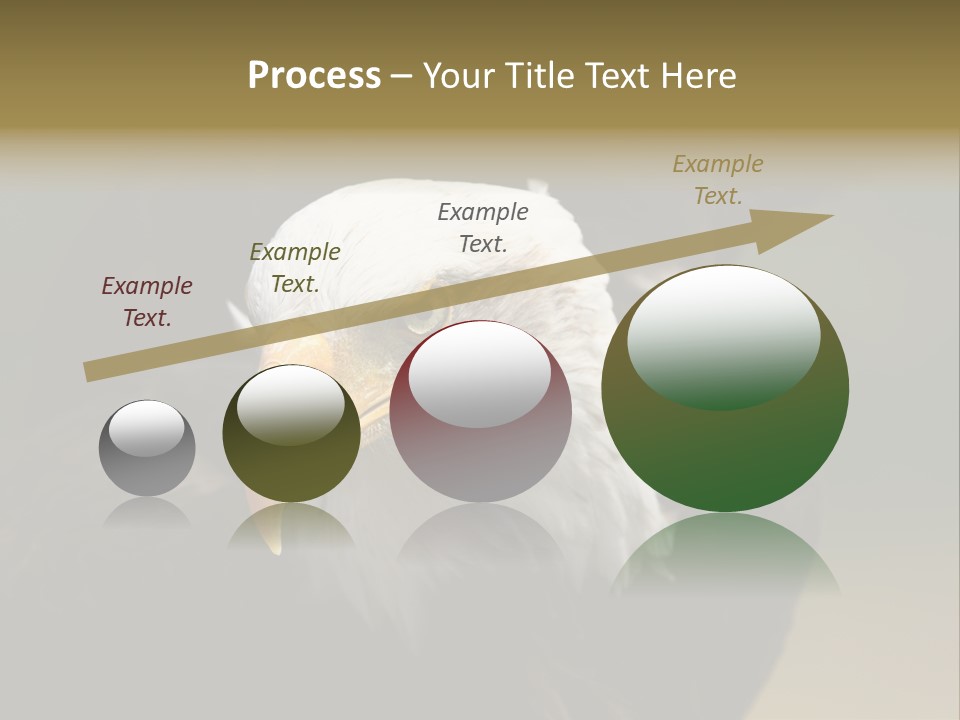 Siyah Beyaz Kartal PowerPoint Template