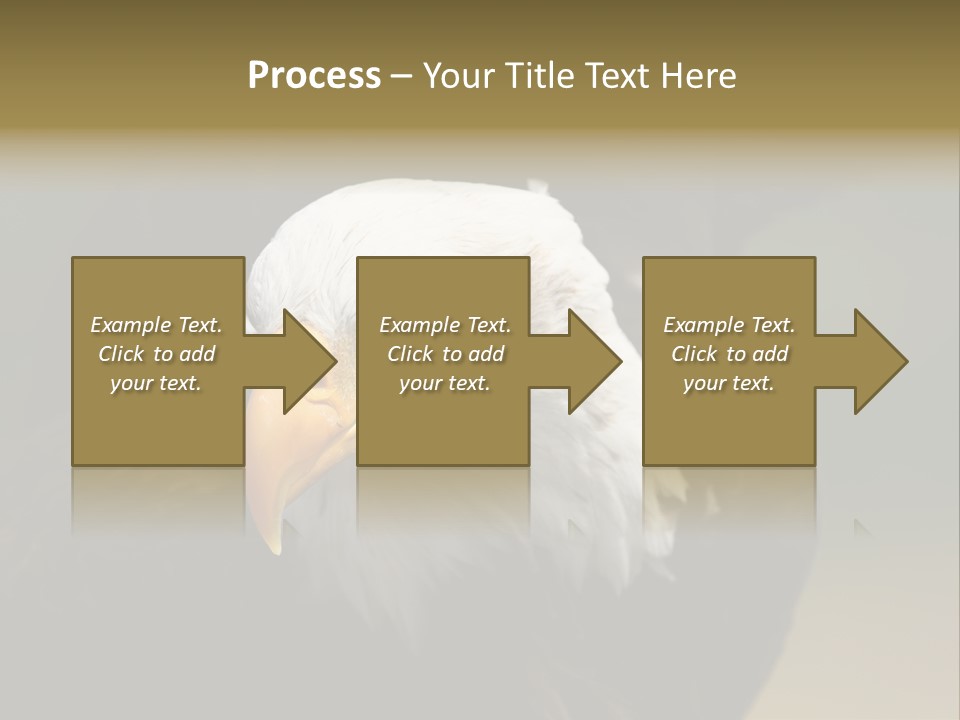 Siyah Beyaz Kartal PowerPoint Template