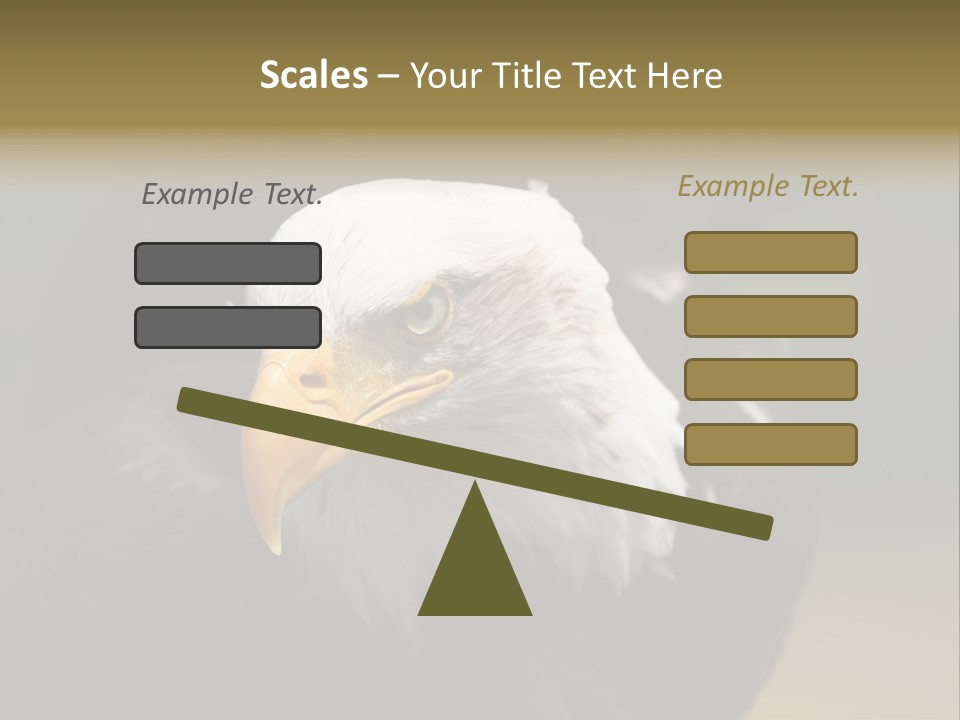 Siyah Beyaz Kartal PowerPoint Template
