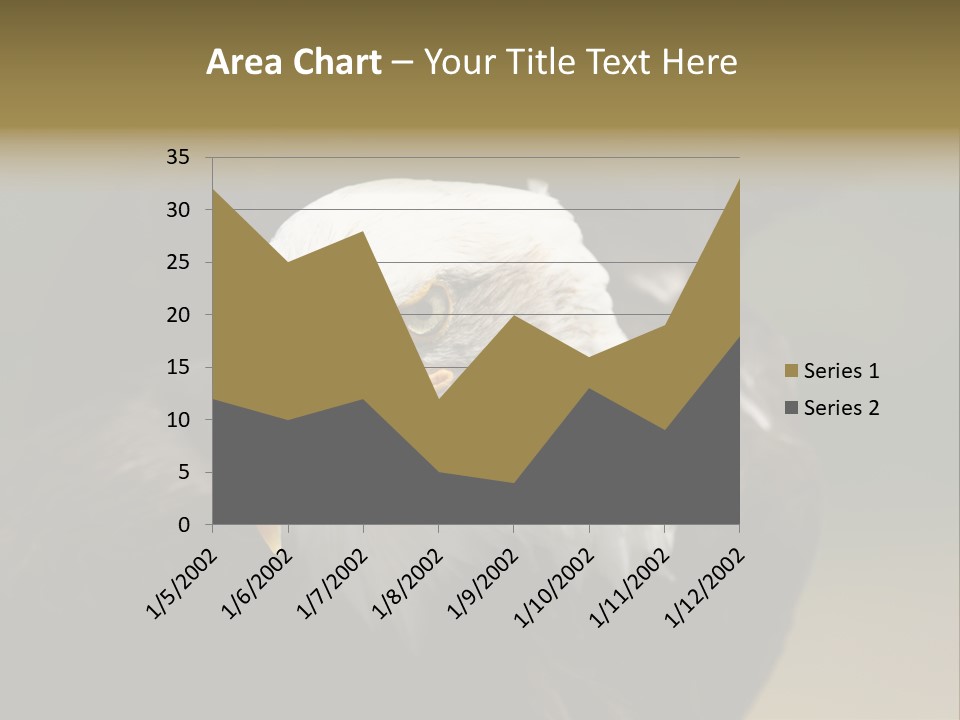 Siyah Beyaz Kartal PowerPoint Template