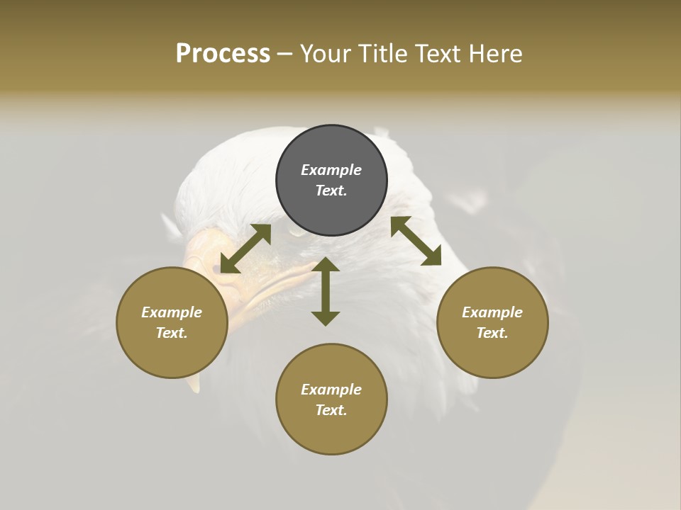 Siyah Beyaz Kartal PowerPoint Template