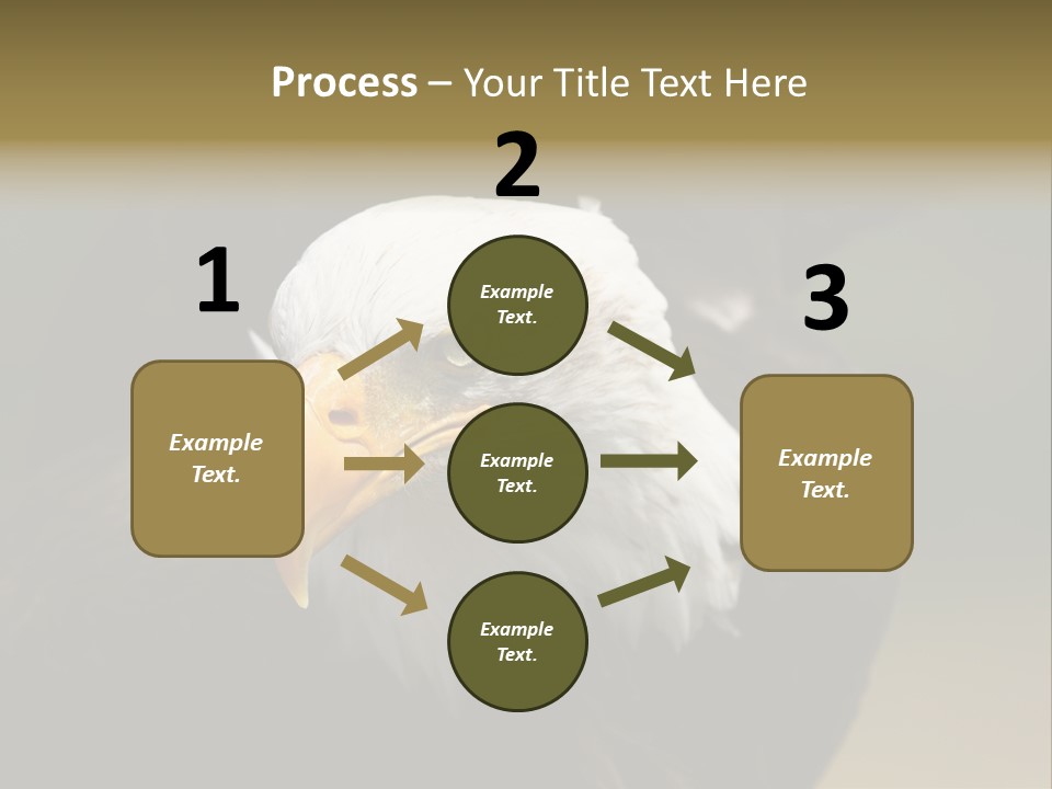 Siyah Beyaz Kartal PowerPoint Template