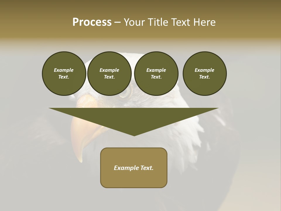 Siyah Beyaz Kartal PowerPoint Template