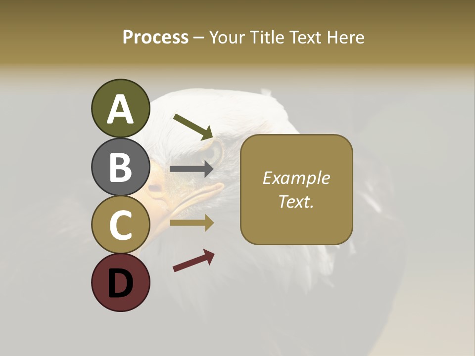 Siyah Beyaz Kartal PowerPoint Template